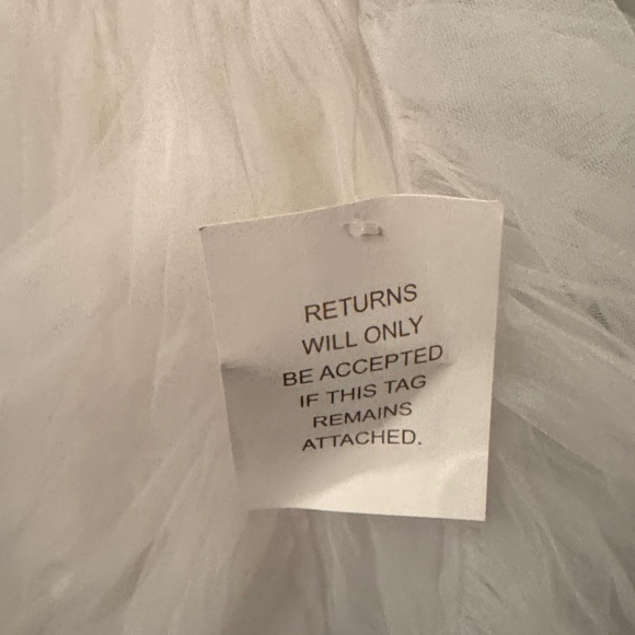 Tutu Du Monde Ivory and Silver Dress - Picture 4 of 5